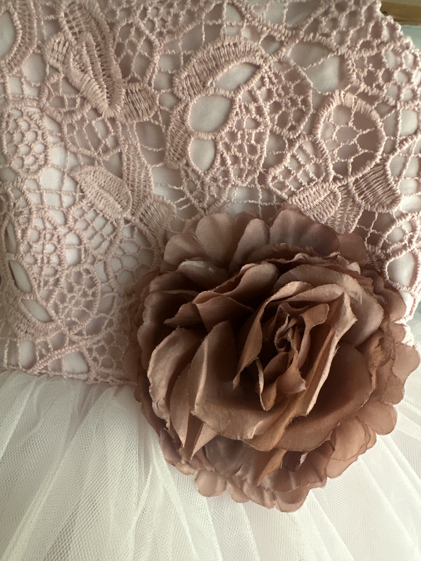 Pippa & Julie Pink Crochet Lace Tulle Tutu Dress with Flower Sash  12mo.