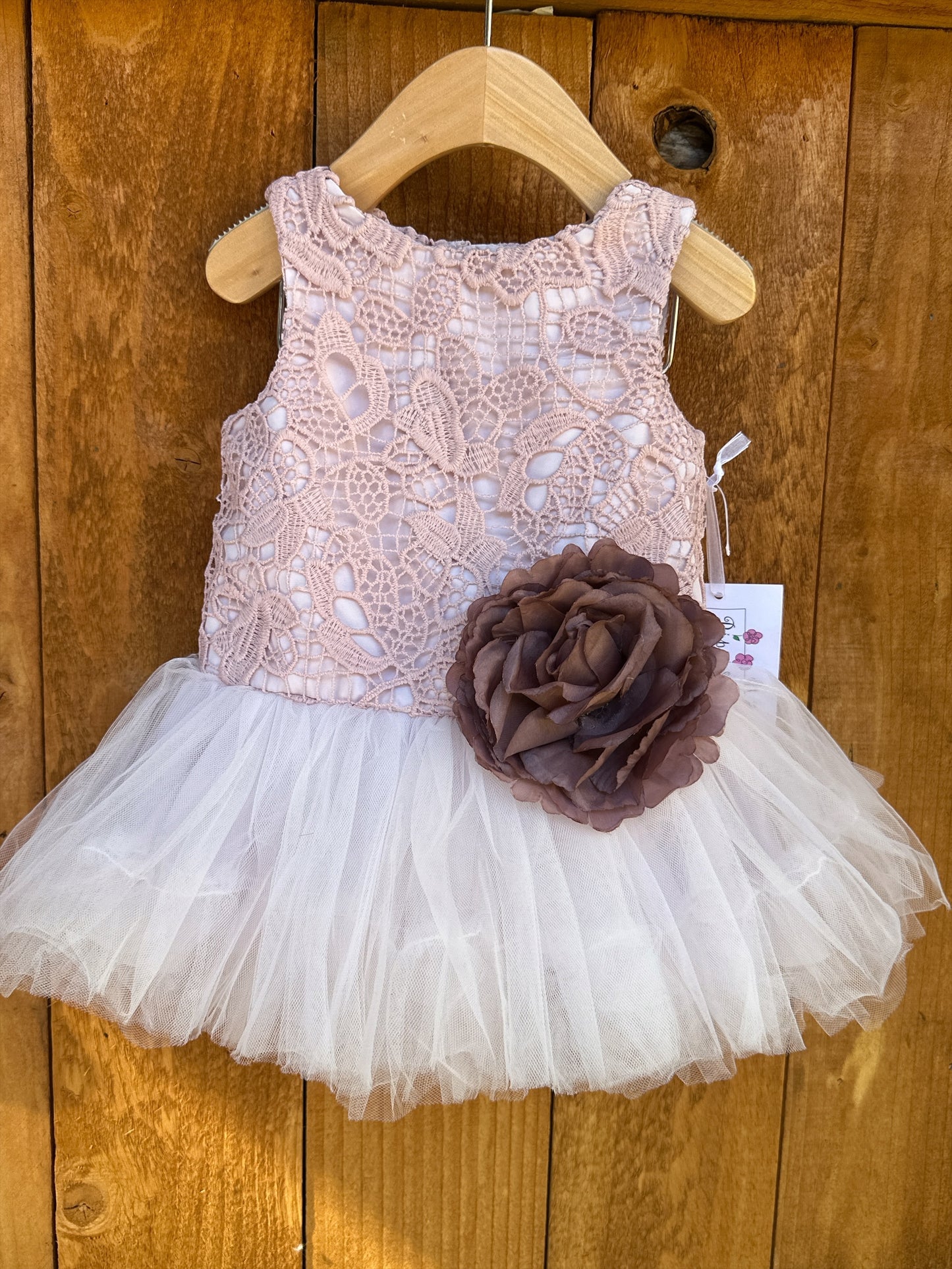 Pippa & Julie Pink Crochet Lace Tulle Tutu Dress with Flower Sash  12mo.